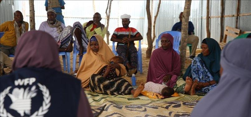 WFP Seeks Urgent Funding to Sustain Food Support in Somalia