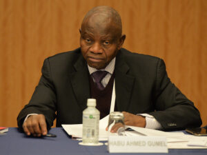 NOC lauds Bola Tinubu’s support for sports development